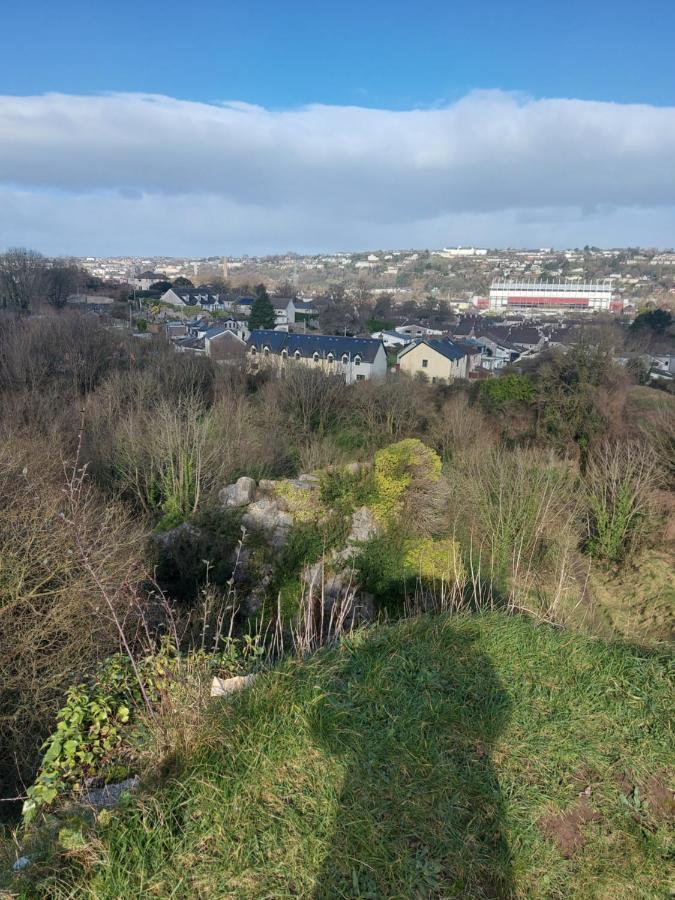Blackrock Carole Ville Guesthouse Cork Zewnętrze zdjęcie
