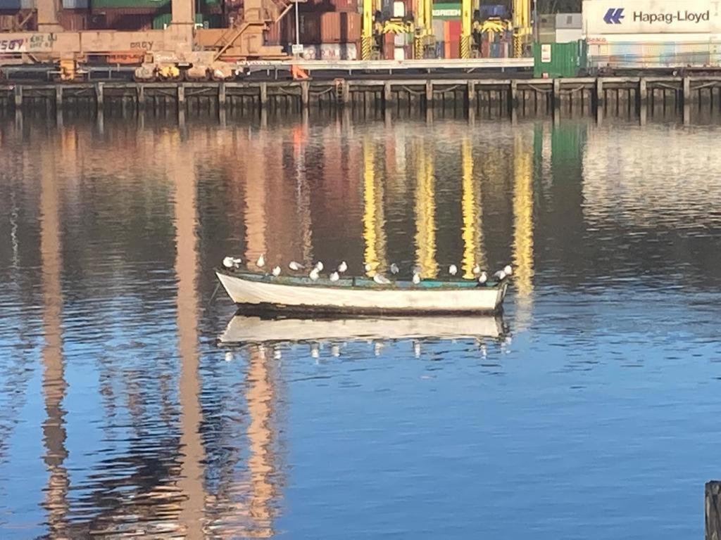 Blackrock Carole Ville Guesthouse Cork Zewnętrze zdjęcie