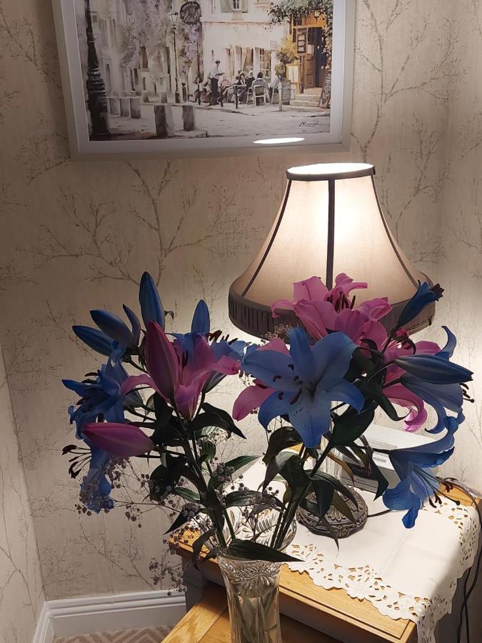 Blackrock Carole Ville Guesthouse Cork Zewnętrze zdjęcie